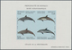 Monaco: 1992/1994, Whales And Dolphins Set Of Three Different IMPERFORATE Miniature Sheets, Mint Nev - Unused Stamps