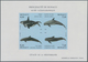 Monaco: 1992/1994, Whales And Dolphins Set Of Three Different IMPERFORATE Miniature Sheets, Mint Nev - Ongebruikt