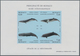 Delcampe - Monaco: 1992/1994, Whales And Dolphins Set Of Three Different IMPERFORATE Miniature Sheets, Mint Nev - Unused Stamps
