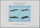 Delcampe - Monaco: 1992/1994, Whales And Dolphins Set Of Three Different IMPERFORATE Miniature Sheets, Mint Nev - Ongebruikt