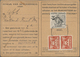 Delcampe - Niederlande: 1928/1943, Lot With 3 Postbus Cards, Comprising 2 1/2 G Rose Wilhelmina (Mi.169 A), Sin - Other & Unclassified