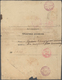 Russland: 1904, 22 May, Retour-Recipisse "Avis De Reception" With Imprint Of St.Petersburg, Used For - Brieven En Documenten