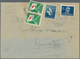 Triest - Zone B - Zwangszuschlagsportomarken: 1951, 2 Din Blue "goose" And 4 Din Dark Blue "Tito" (S - Revenue Stamps