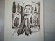 DESSIN CARICATURE OLIVIER STIRN SIGNEE ARAMIS 1983 ANDOUILLE - Drawings