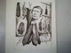 DESSIN CARICATURE OLIVIER STIRN SIGNEE ARAMIS 1983 ANDOUILLE - Dessins