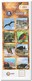 Ecuador 2013, Postfris MNH, Birds, Fish, Flowers, Nature, Seaturtle ( 2 Booklets, Carnets ) - Ecuador