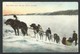+++ CPA - Amérique - CANADA - Dog Train From The Far North - Attelage Chiens   // - Non Classés