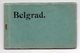 1914-1918 WWI GERMAN OCCUPATION OF SERBIA, BELGRADE, BOOK OF 10 ILLUSTRATED POSTCARDS - Serbia