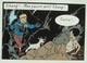 De Tintin Aux Héros D'aujourd'hui. - Quand National Géographic Inspire La BD. - Hors-série 2004. - Dossiers De Presse