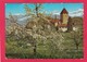 Modern Post Card Of Spiez, Berne, Switzerland,L50. - Bern