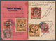 Deutsches Reich - Inflation: 1920/29, POSTLAGERKARTE, Ausgestellt Am 8.3.1920, Mit Stpl. K1 NÜRNBERG - Covers & Documents