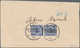 Deutsche Kolonien - Samoa - Vorläufer: 11896 (15.7.), Senkrechtes Paar 20 Pfg. Krone/Adler Mit Stemp - Samoa