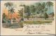 Deutsche Kolonien - Samoa - Besonderheiten: 1899, Litho-Ansichtskarte "Deutsche Handels-&Plantagen-G - Samoa