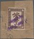 Feldpostmarken: 1943, Tunis-Päckchenmarke Auf Wabenartigem, Genetzten Papier Mit Violettem L2 „Bei D - Autres & Non Classés