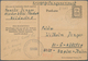 Kriegsgefangenen-Lagerpost: 1945, 6 Pfg. Behelfsganzsache Der Französischen Zone Aus Niederbühl/Rast - Andere & Zonder Classificatie