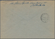 Alliierte Besetzung - Gemeinschaftsausgaben: 1948, Freimarke 5 M Taube Zwei Exemplare In Der Bessere - Autres & Non Classés
