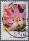 Bundesrepublik Deutschland: 2005, 5 (C) Blumen (Vi), Gezähnt, Farbe Blau Fehlend, Dadurch Blüte Rot - Other & Unclassified