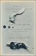 Delcampe - Ansichtskarten: Künstler / Artists: BRETON, André (1896-1966), Französischer Dichter, Schriftsteller - Zonder Classificatie