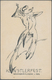 Ansichtskarten: Künstler / Artists: LINNEKOGEL, Otto (1897-1981), Deutscher Grafiker, Illustrator, F - Unclassified