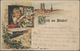 Ansichtskarten: Vorläufer: 1886, Gruß Aus MÜNCHEN, Kolorierte Vorläuferkarte 5 Pf Lila Mit K1 MÜNCHE - Unclassified