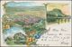 Ansichtskarten: Baden-Württemberg: BODENSEEGEBIET, Schöne Partie Mit 29 Alten Ansichtskarten Ab 1894 - Sonstige & Ohne Zuordnung
