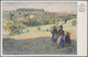 Delcampe - Ansichtskarten: Hessen: NORDHESSEN (alte PLZ 34 Und 35), Witzenhausen, Eschwege, Kassel, Hofgeismar, - Autres & Non Classés