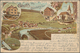Delcampe - Ansichtskarten: 1900-1920, Partie Mit über 500 Karten, Dabei Tolle Lithos, Straßenkarten, Gaststätte - 500 CP Min.
