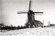 WOESTEN Bij Vleteren (W.-Vl.) - Molen/moulin - Winterbeeld Van De Verdwenen Beukmolen Ca. 1916 Voor Zijn Verwoesting - Vleteren