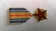 Médaille Des Blessés Militaires - France