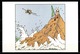 CP Tintin : Editions Hergé/Moulinsart Sundancer N° 015 ( Recto-Verso ) - Bandes Dessinées