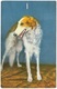 Borzoi Borsoi Lévrier Russe Russischer Windhund - Stehli - Dogs