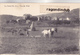 CPA - 04 - LE PALUD (B.A) - Vue Du Midi - Agriculture, Scène De Labourage Avec Chevaux Et Autre Attelage - Bel état - Autres & Non Classés