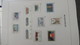 Grosse Collection BELGIQUE En DAVO De 1985 à 1998 En Blocs, Carnets Et Timbres ** . Bien Suivie A Saisir !!! - Collections (with Albums)