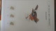 Delcampe - Belle étude Sur Les Oiseaux Par L'artiste André BUZIN. Super Travail En Timbres Et Blocs ** A Saisir !!! - Collections (en Albums)