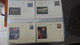 Delcampe - Lot De 136 Entiers Postaux ** De BELGIQUE Pas Commun !!! - Collections (with Albums)