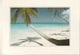 * Cartolina - Tanzania - Beach Of Zanzibar - Viag. Per Bologna 1997 - Tanzania