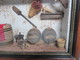 ANCIEN TABLEAU VITRINE SCÈNE OBJETS VIGNERON VITICULTEUR POUR VIN 29 X 23 Cm Env - Art Populaire