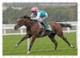 Ukraine | Postcard | Frankel | Leading Thoroughbred Racehorse | Horse - Cavalli