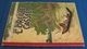 Delcampe - TINTIN - L'Oreille Cassée - HERGÉ - ÉDITION ORIGINALE DE 1943 - Cote De 3.500 Euros à L'Argus BDM - Tintin