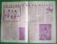 Almada - Jornal A Revoada Nº 9 De Abril De 1972 Da Escola Preparatória De D. António Da Costa - General Issues