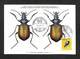 SUISSE - HELVETIA - Carte Maximum 1957 - Calosoma Sycophanta - Cartoline Maximum