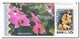 Noord Korea 1993, Postfris MNH, Flowers, Orchids  ( 5 Booklets, Carnets ) - Korea (Noord)