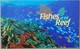 Australia 2010. Fishes Of The Reef I. Stamp Set (gummed) In A Souvenir Folder. MNH - Nuovi
