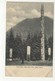 SITKA, Alaska, USA, Totem Poles, Indian River Park, Pre-1908 UB Postcard - Sitka