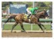 Ukraine | Postcard | Mastery | Leading Thoroughbred Racehorse | Horse - Cavalli