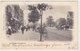 Lewisham High Street - 1903          (A-81-160420) - Londres – Suburbios