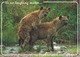 Postcard RA010433 - Hyena (Hyaena) - Sonstige & Ohne Zuordnung