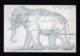 1901 - 5 Pf. Privat Ganzsache Frankfurt/O. - Bild "Elefant" - Gebraucht - Eléphants