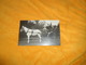 CARTE POSTALE PHOTO ANCIENNE NON CIRCULEE DATE ?.../ CHEVAL CHARETTE PROMENADE ?... - Altri & Non Classificati