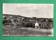 78 Yvelines Rosny Sur Seine Panorama ( Format 8,8cm X 14cm ) - Rosny Sur Seine